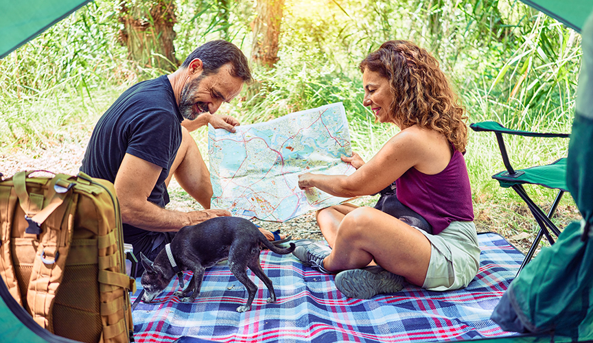 An older married couple traveling on their honeymoon, holding a map from the forest floor and looking at their dog.